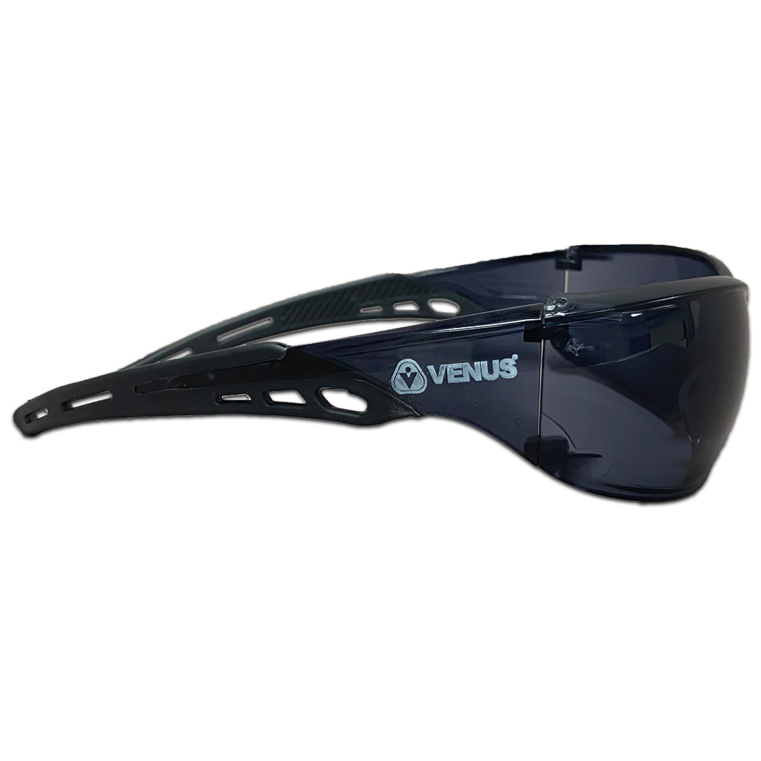 Venus E-306 Glasses View 2